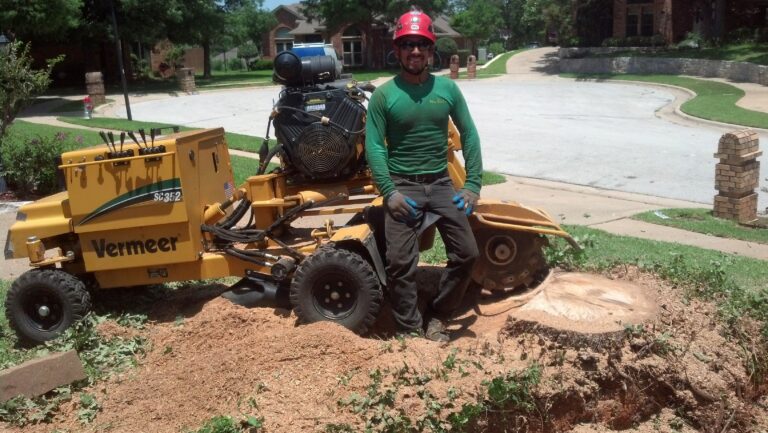 North Texas’ Trusted Choice for Professional Stump Removal