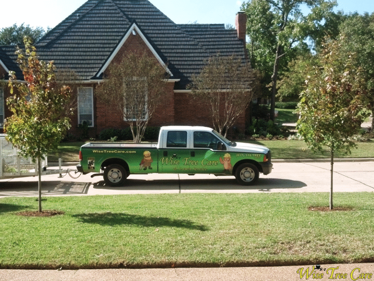 A Memorial Day Message from Wise Tree Care