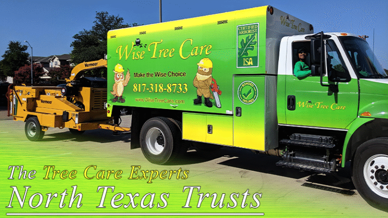 Wise Tree Care North Texas' Top Choice for Quality Service