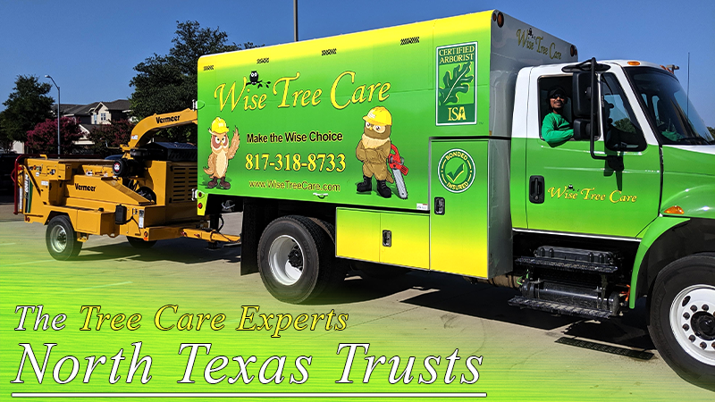 Wise Tree Care North Texas' Top Choice for Quality Service