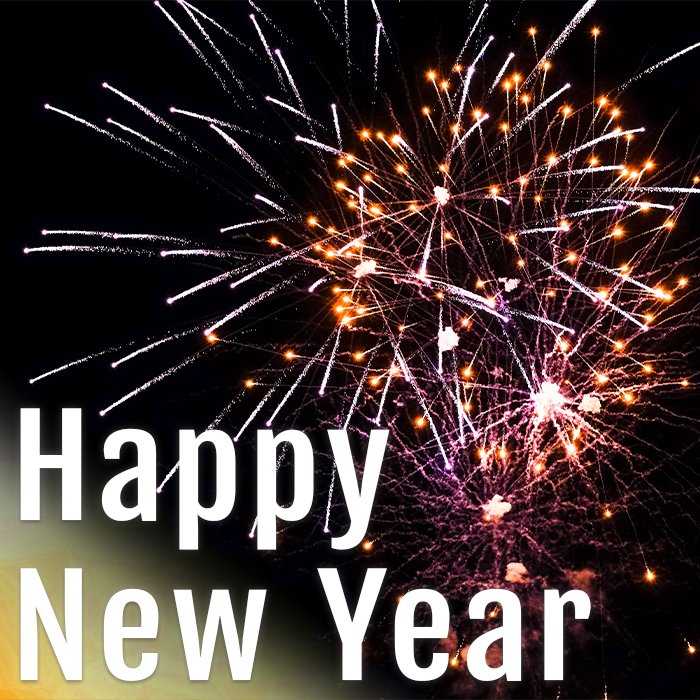Happy New Year From Wise Tree Care