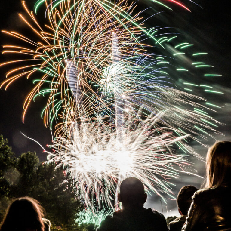 Happy Independence Day from Wise Tree Care